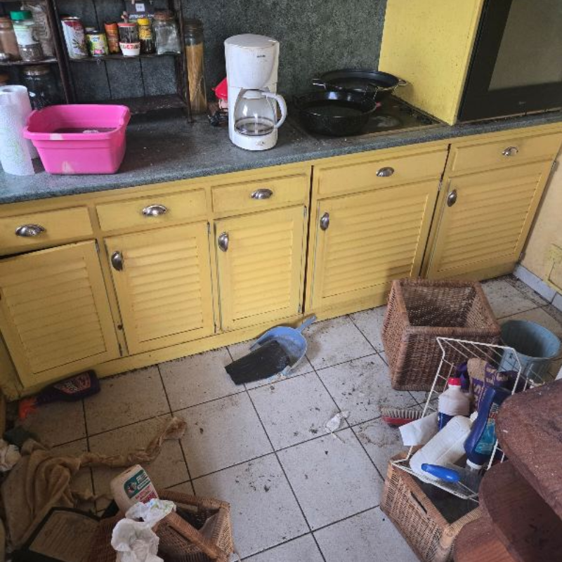 NETTOYAGE APRÈS DÉBARRAS ET LOGEMENTS INSALUBRES À NANTES